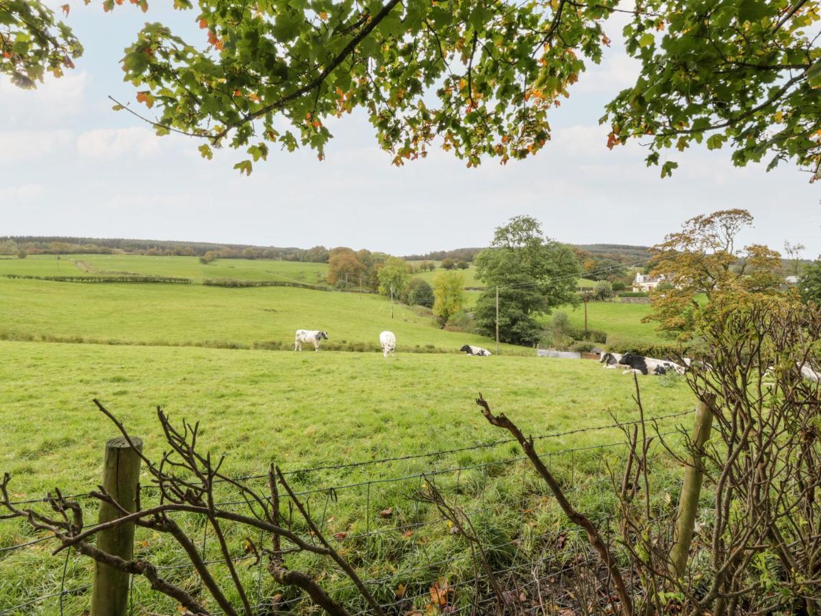 Whiteside Cottage Darvel Екстериор снимка